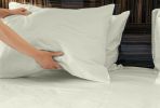 Premium Silky Soft 100% Tencel Lyocell Derived from Eucalyptus 4-Piece Sheet Set, Oeko-TEX Certified, Queen - Cr√®me
