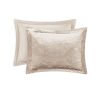 4 Pcs Velvet Comforter Set with Throw Pillow(Twin/Twin XL)